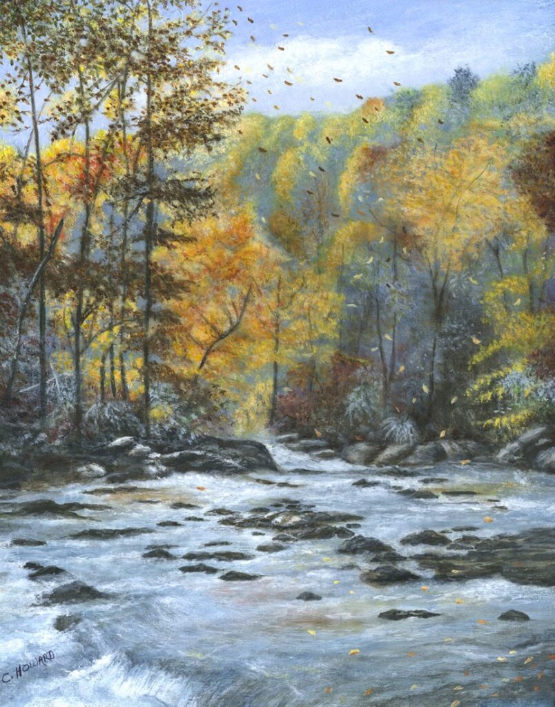 Greater Napanee & Area Arts Association