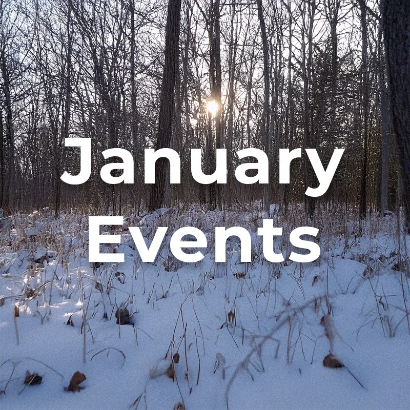 Greater Napanee & Area Arts Association