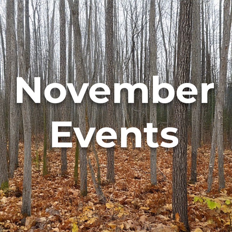 Greater Napanee & Area Arts Association