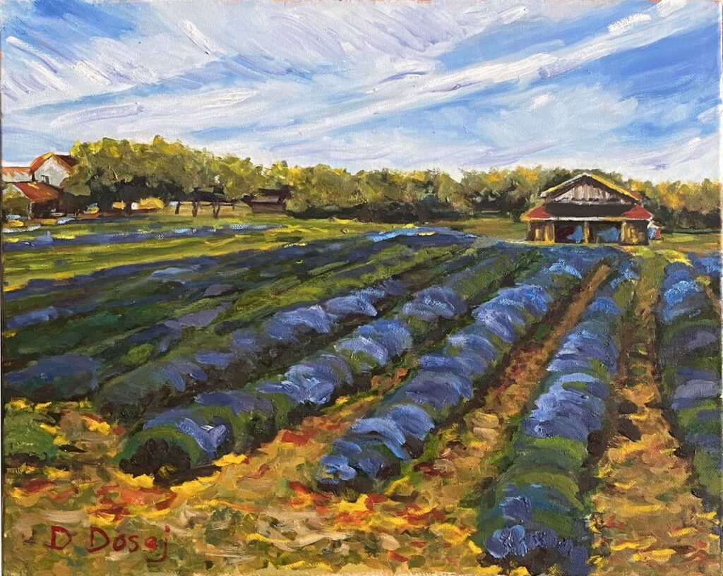 Greater Napanee & Area Arts Association