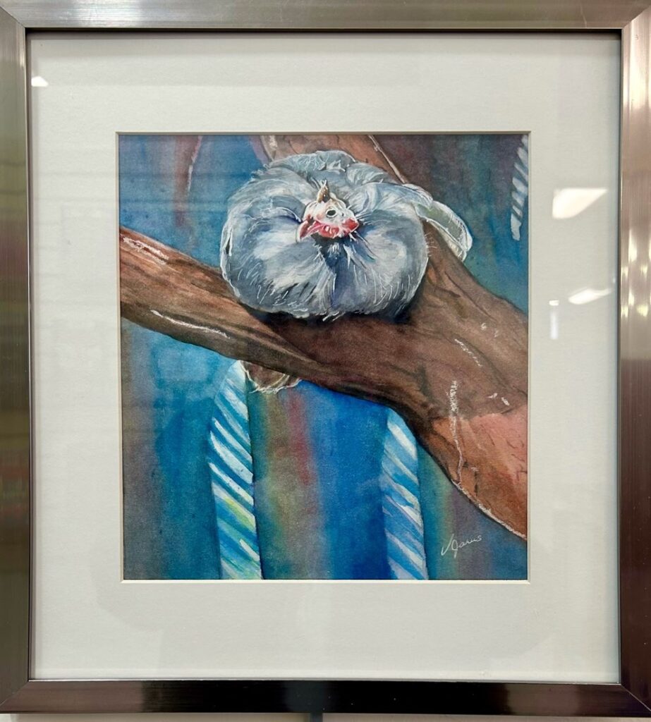 Greater Napanee & Area Arts Association