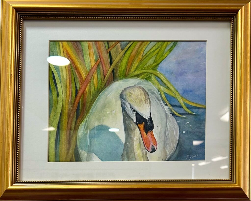 Greater Napanee & Area Arts Association