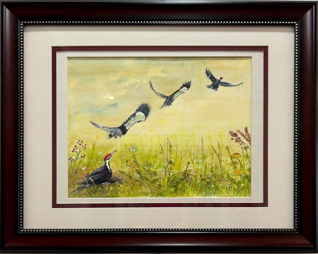 Greater Napanee & Area Arts Association