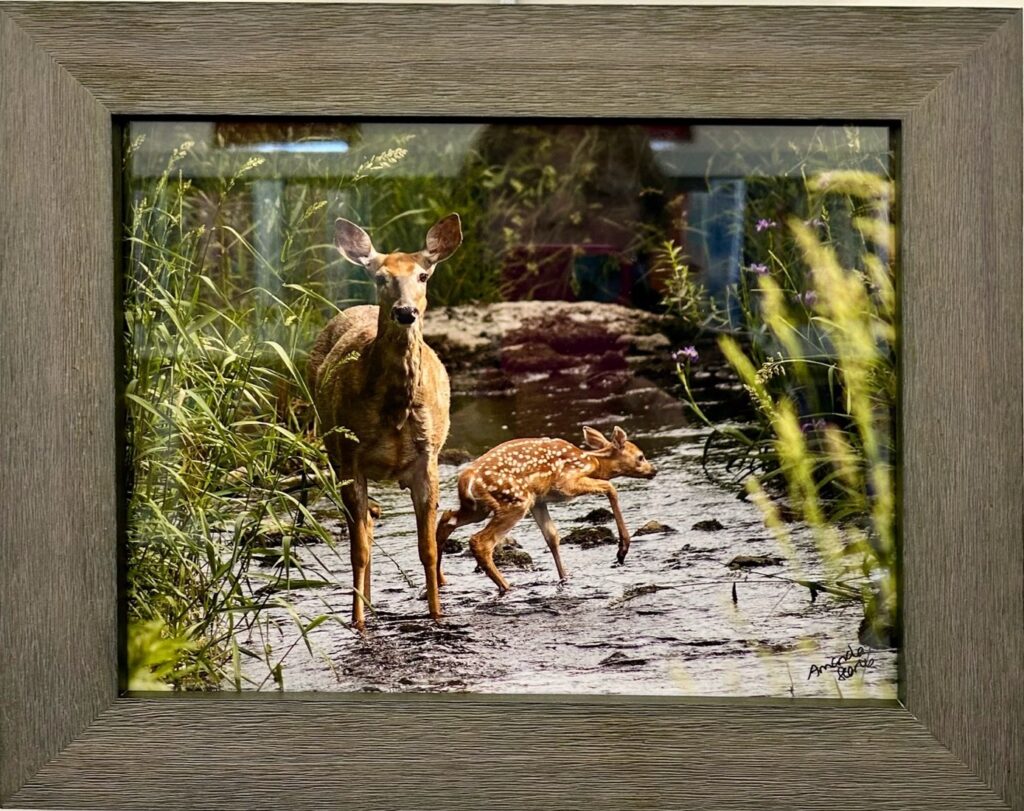 Greater Napanee & Area Arts Association