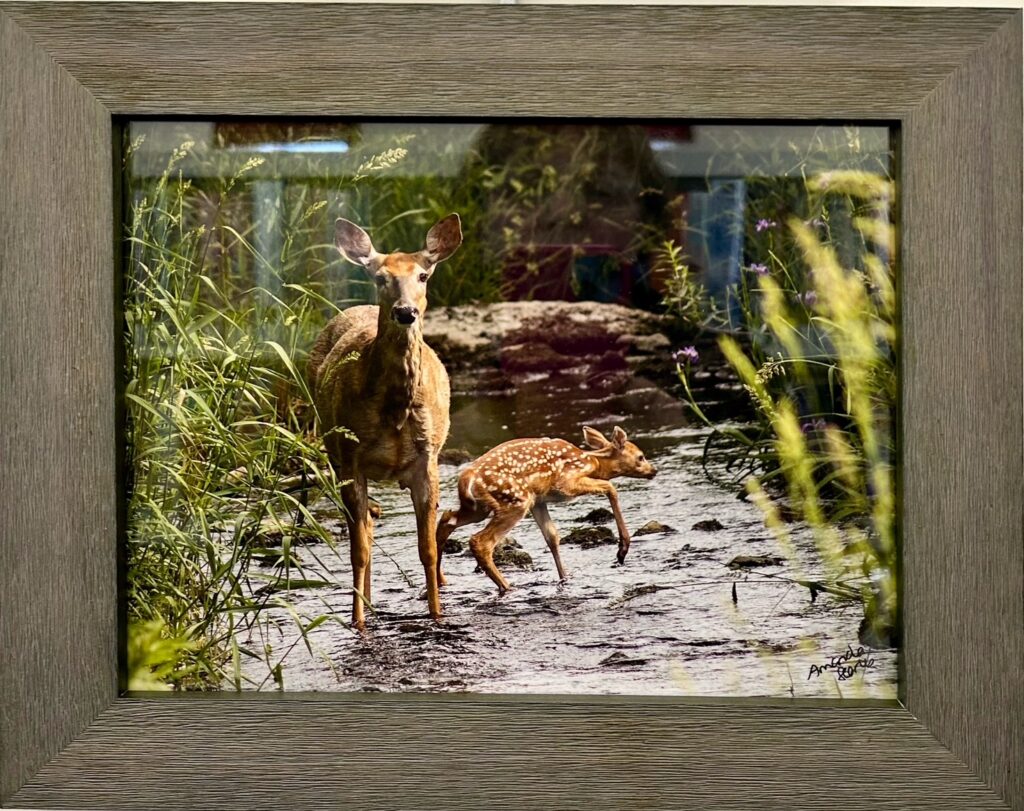 Greater Napanee & Area Arts Association