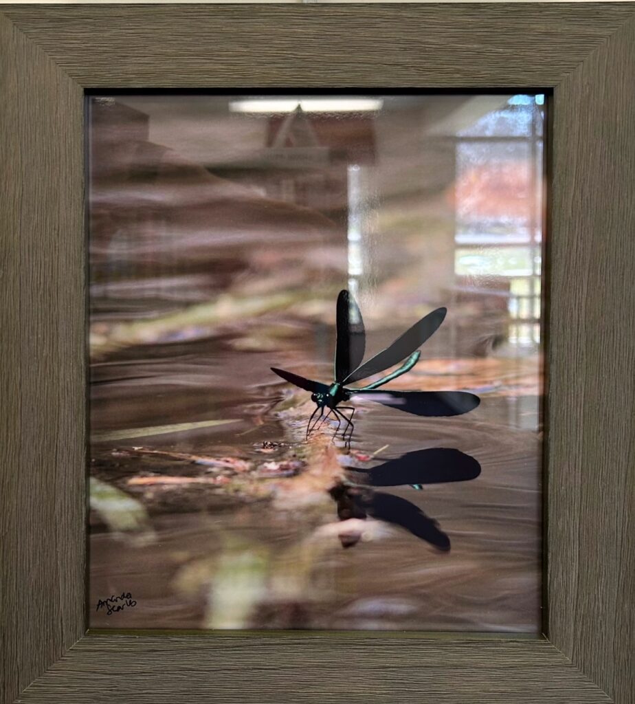 Greater Napanee & Area Arts Association