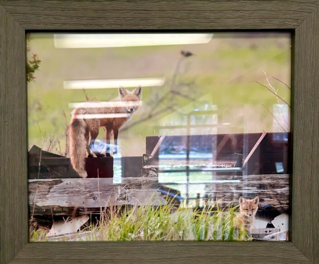 Greater Napanee & Area Arts Association