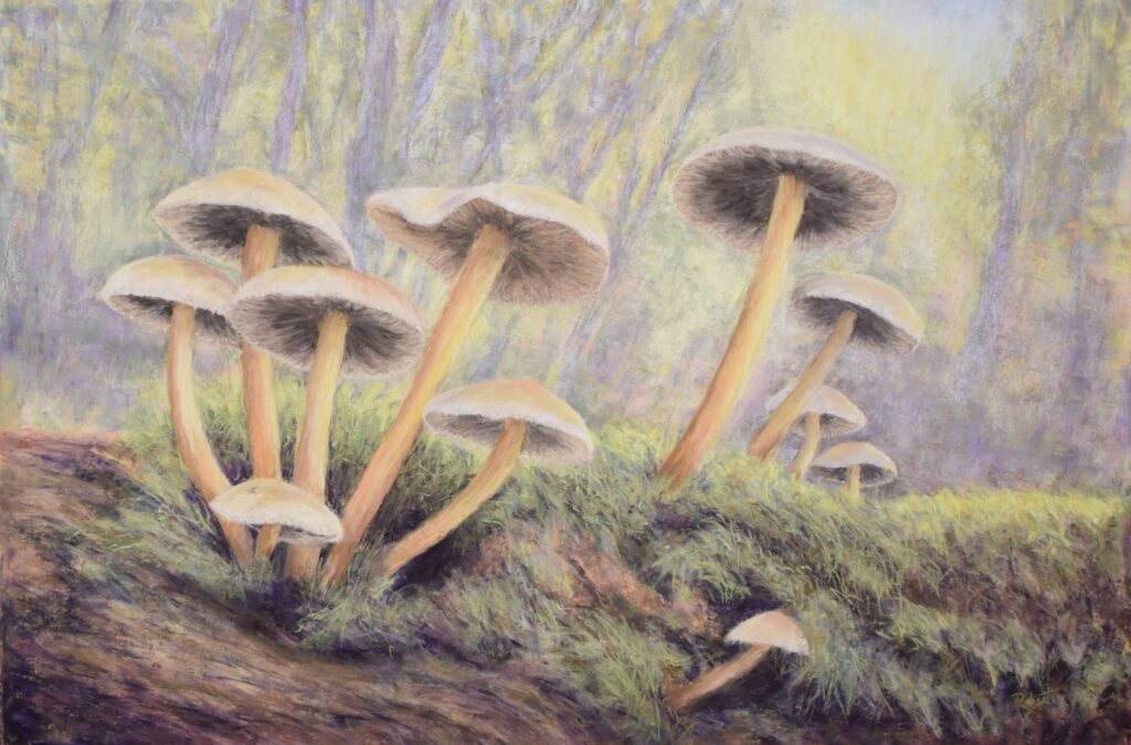 Greater Napanee & Area Arts Association