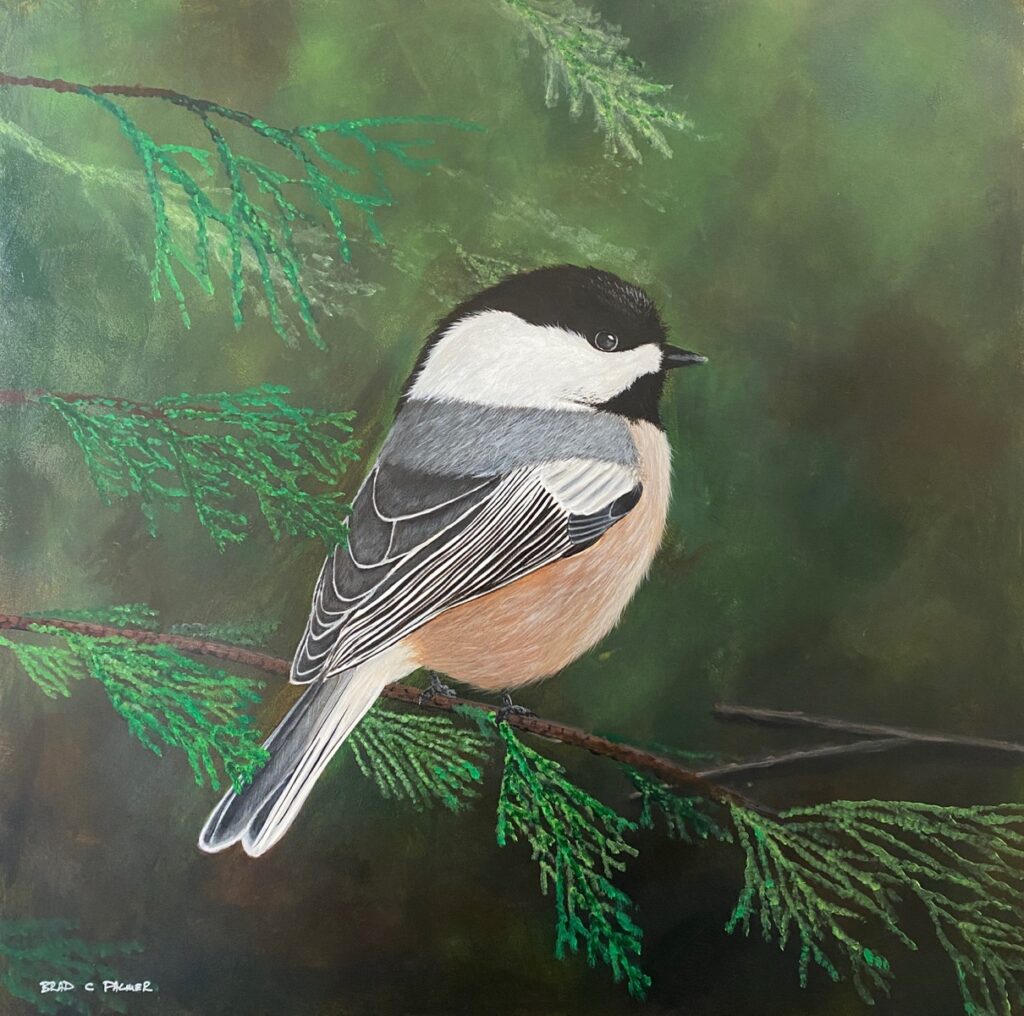 Greater Napanee & Area Arts Association